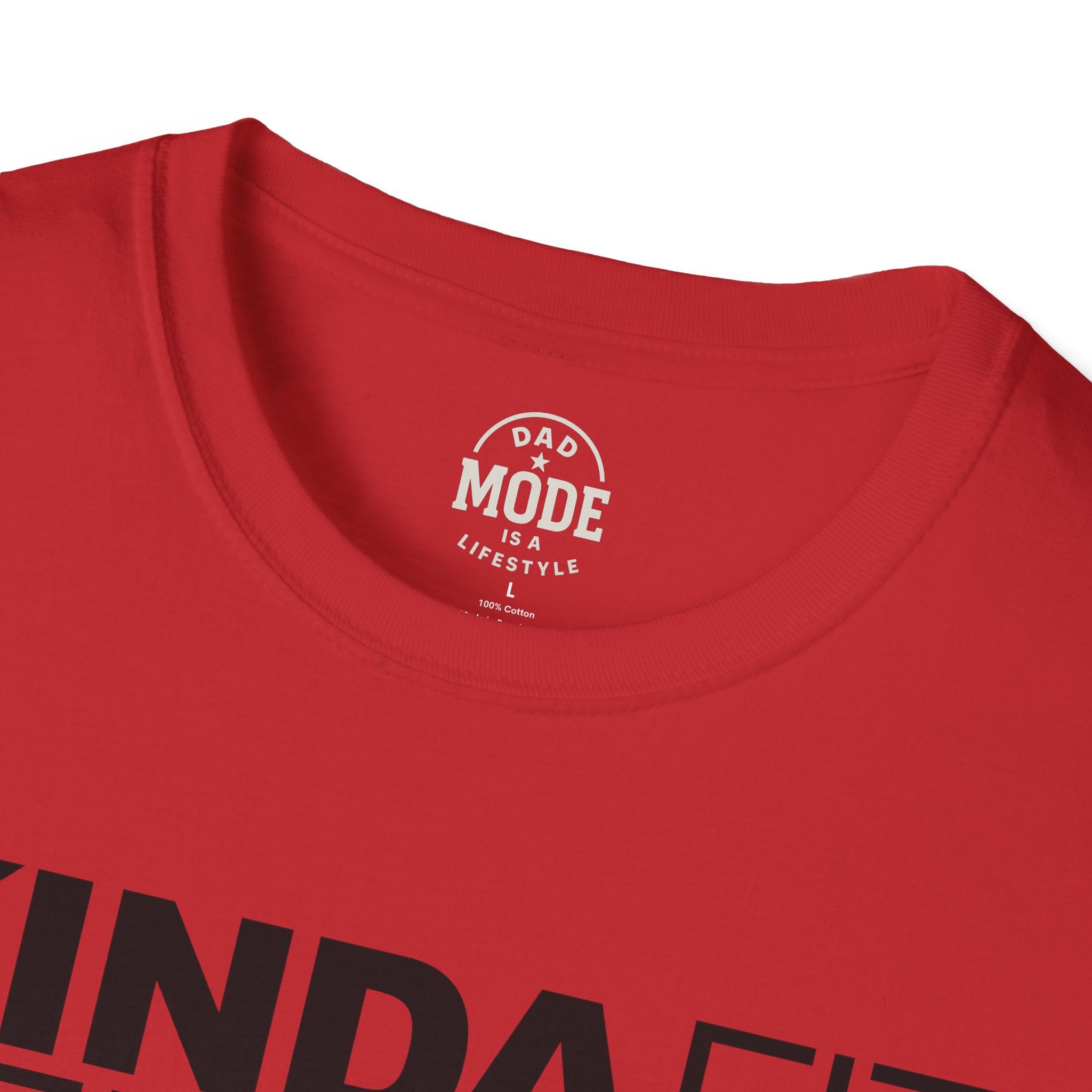 Dad Mode Kinda Fit T-Shirt